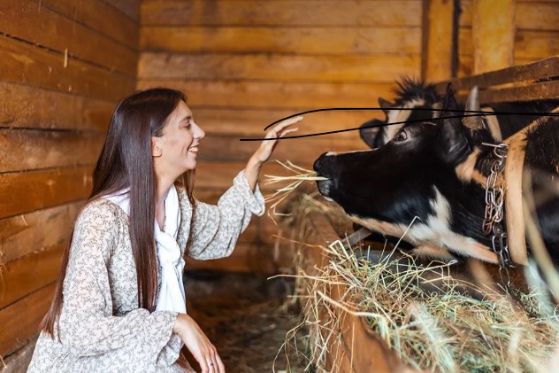 "Семь деревень"- сельский туризм