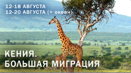 Кения. Большая миграция.