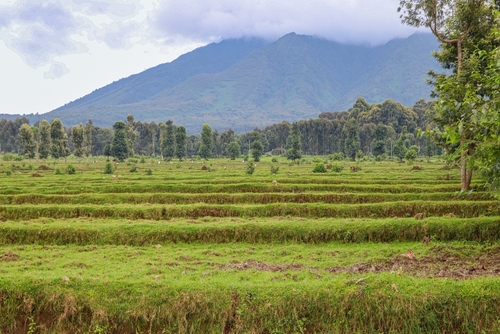 Республика Конго