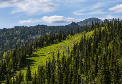 Кемеровская область