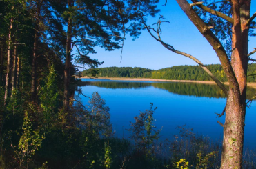 Тверская область