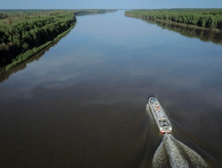 Омская область