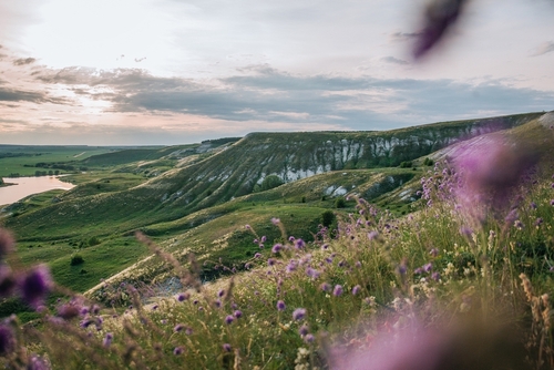 Ульяновская область