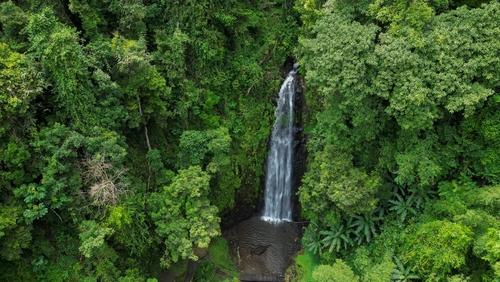 Сан-Томе и Принсипи