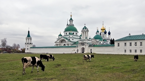 Ростовская область