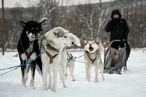 Проживание 1