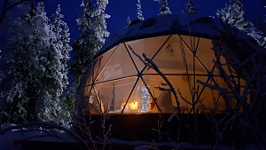 Проживание 5