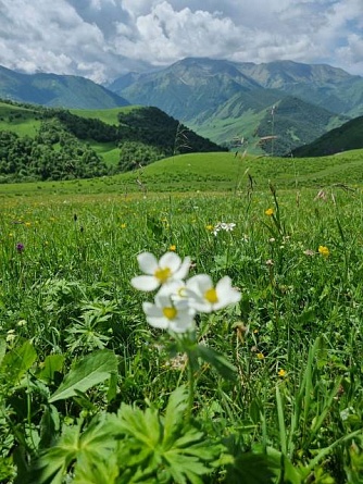 Экскурсия на плато Бермамыт