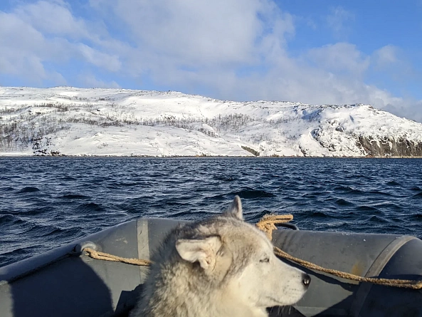 Индивидуальный обзорный тур "Тундра, скалы, море и его обитатели"