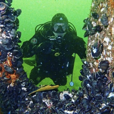 Погружение в ледяную сказку: заполярный дайвинг для смелых!