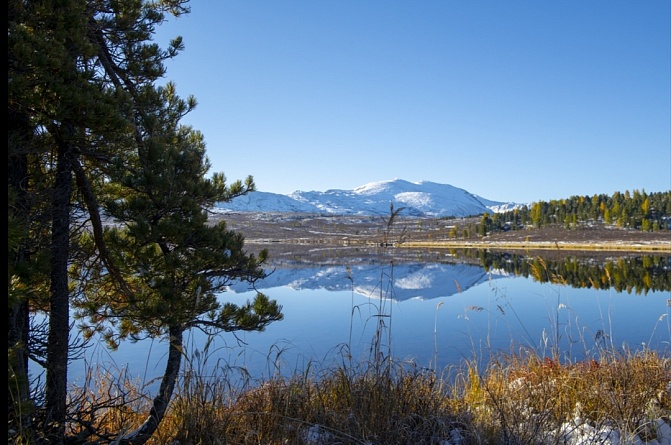 Алтайское золото (Сентябрь)