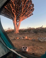 Проживание 1