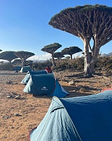 Проживание 2