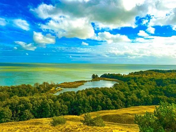 Тайными тропами Куршской косы до семейной сыроварни Шаакендорф + Зеленоградск