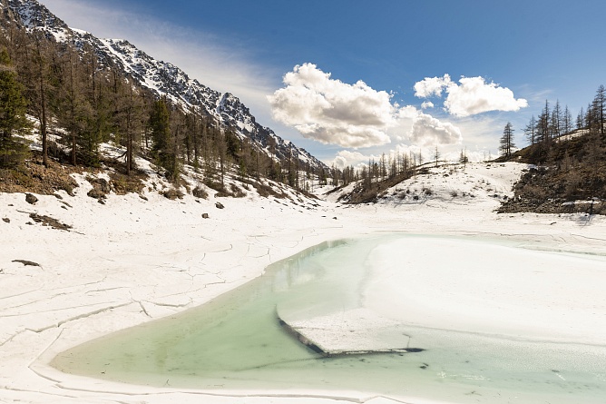 Фототур Алтайская весна