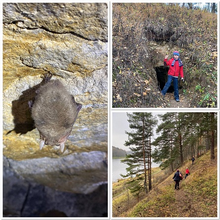 6-й Детский поход ДзенТур