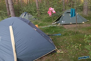 Проживание 2