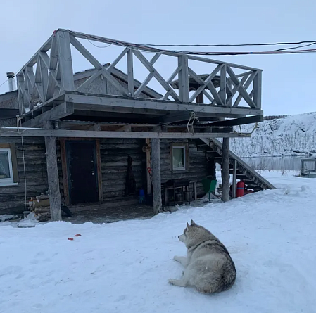 Тундра, скалы, море и его обитатели