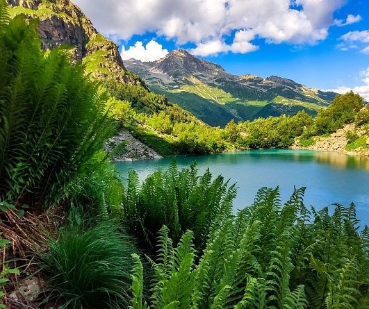 Тур по Домбаю