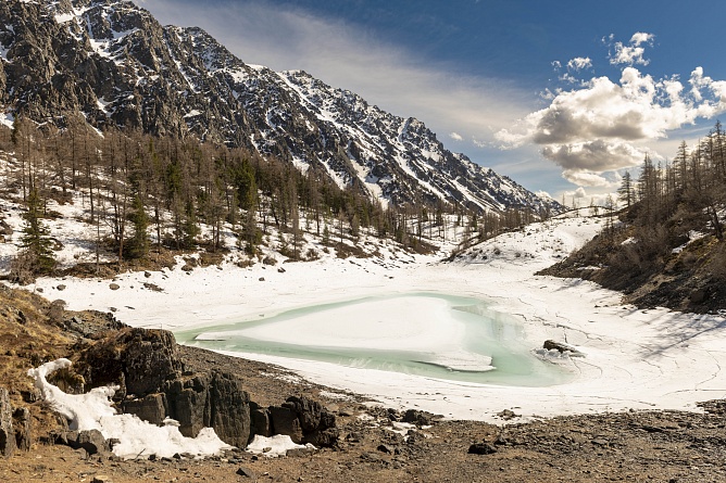 Конец Алтайской зимы