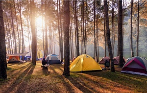 Проживание 1