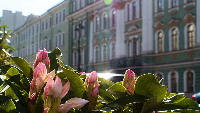 Экскурсия «Бриллиантовая улица с экскурсией по Музею Фаберже»