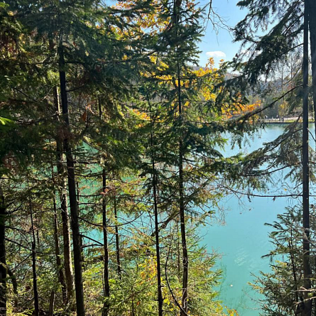 Духовное путешествие к «Святым кустикам» и Красным скалам