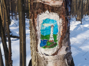 По Хвойным лесам и берегу Пажи