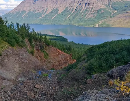 Ночная схватка с медведем: когда Араксис кричит "Вон!".Фото 4