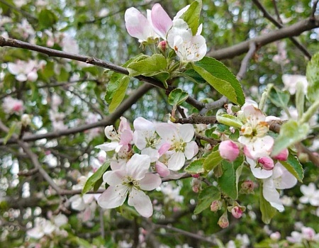 Итоги велопоездки от Дубны до станции Мельдино!.Фото 2