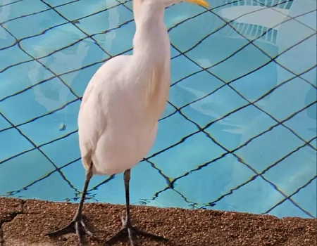 Египет 2026. Часть 2 – Перелёт и первые деньки.Фото 5