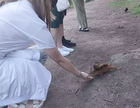 Сказочный Выборг | конкурс ДзенТур | РХГА.Фото 2