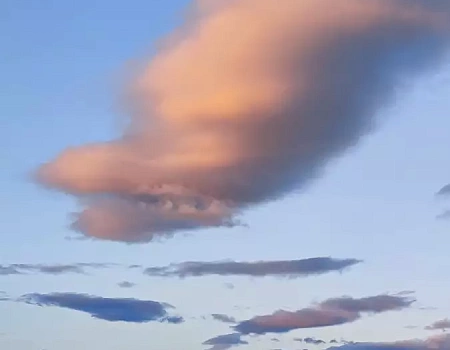 Ночная схватка с медведем: когда Араксис кричит "Вон!".Фото 7