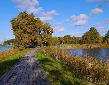Село Казаково: где из железа плетут кружево | конкурс ДзенТур | ММУ.Фото 3