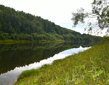 Водный поход на рафте по р. Ветлуга.Фото 0