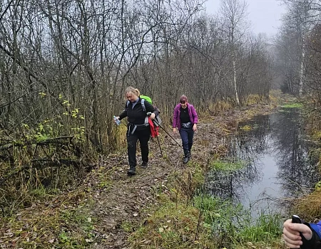 Лужи, грязь, охотники и легенды Боровского тракта..Фото 6