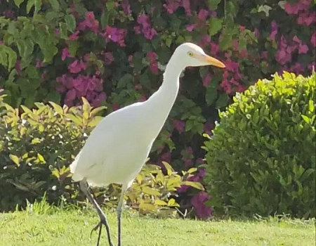 Египет 2026: наша эпопея. Часть 1 – Подготовка.Фото 0