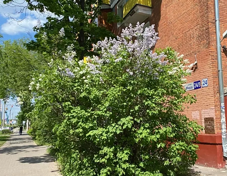 МЫТИЩИ - город, который я выбрала сама | конкурс ДзенТур | ММУ.Фото 0