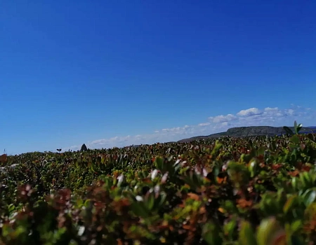 Кемь, Карелия. Выход в мир снов.Фото 0