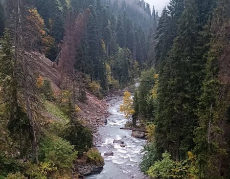 Кто в Домбае не бывал, тот Кавказа не видал.Фото 4