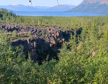 Ночная схватка с медведем: когда Араксис кричит "Вон!".Фото 2