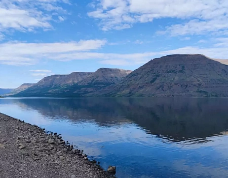 Ночная схватка с медведем: когда Араксис кричит "Вон!".Фото 5