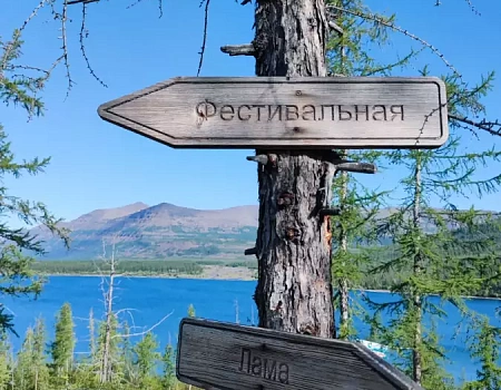 Рыбно-медвежий тур: три встречи с хозяином леса за сутки. Плато Путорана день 6.Фото 3