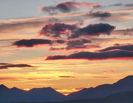 Ночная схватка с медведем: когда Араксис кричит "Вон!".Фото 3