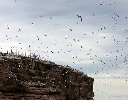 Красота Скандинавии и ее миф о русалках.Фото 1