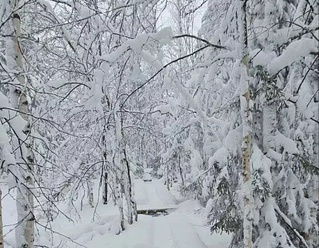 Зимнее посвящение: как друг из Крыма впервые увидел Урал.Фото 4