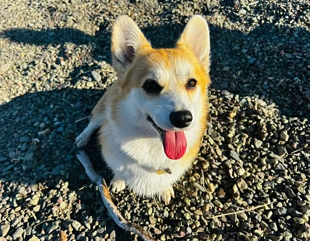 Тишина мыслей и шёпот водопада: день на Южном Нералахе.  Плато Путорана день 5.Фото 4