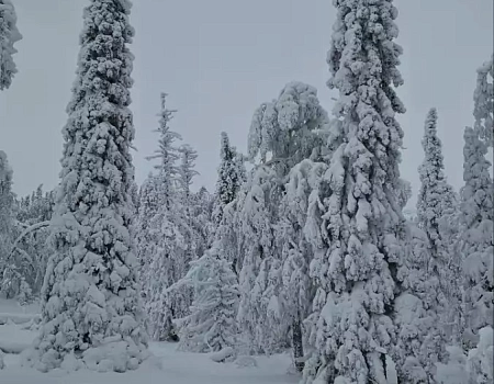 Большой Уван..Фото 4