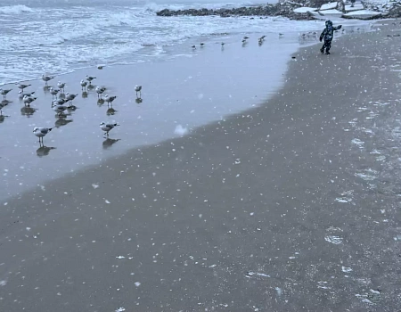 СВЕТЛОГОРСК – немецкая сказка в Калининграде | конкурс ДзенТур | РГГУ.Фото 0