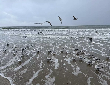СВЕТЛОГОРСК – немецкая сказка в Калининграде | конкурс ДзенТур | РГГУ.Фото 1